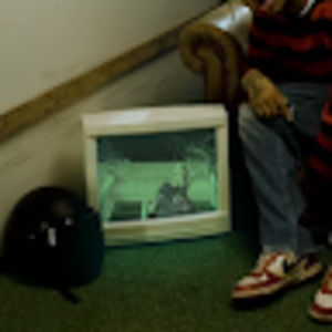 Meet your Posher, Zion